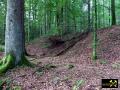 Eisen-Mangan-Bergbau im Lochborner Revier bei Bieber, Nordspessart, Hessen, (D) (6) 31. Mai 2014.JPG